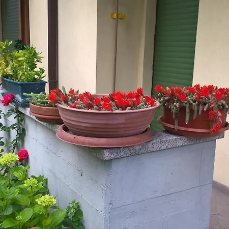 Rosella Completo Di Matrimoniale E 2 Letti Singoli 3*