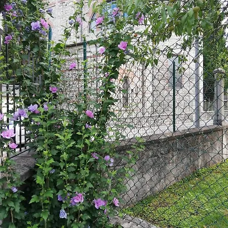 Rosella Completo Di Matrimoniale E 2 Letti Singoli Bed & Breakfast *