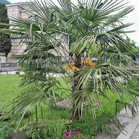 Rosella Completo Di Matrimoniale E 2 Letti Singoli 3*